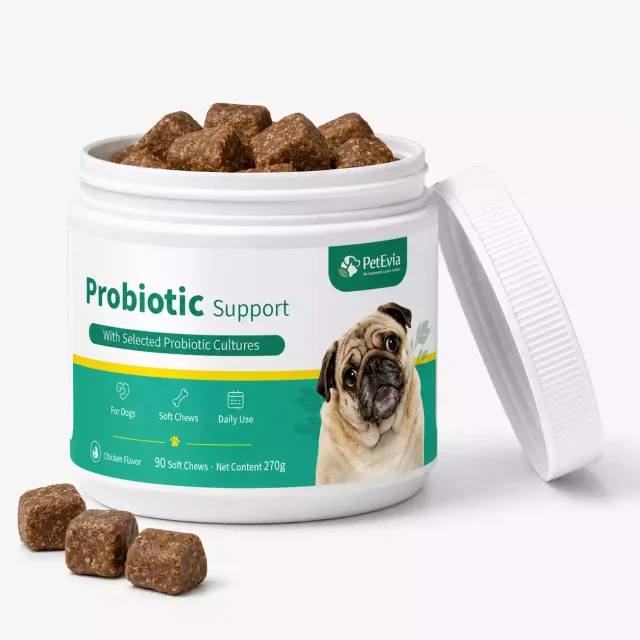 dog probiotic soft chews for sale